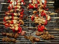 Delicious lamb skewers barbecue with red peppers on a charcoal grill