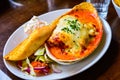 Delicious Lasagna with Tomato Sauce and Finely Chopped Spring Onions Royalty Free Stock Photo