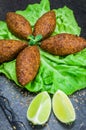 Delicious Lebanese food, kibbeh kibe on black slate stone and granite background