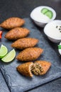 Delicious Lebanese food, kibbeh kibe on black slate stone and granite background