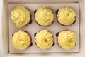 Delicious lemon cupcakes in box, top view