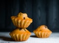 Delicious light cupcakes, sugar free with a festive background