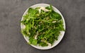 Salad with arugula and chicken breast Royalty Free Stock Photo