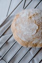Homemade no knead bread over a cooling rack Royalty Free Stock Photo