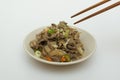 Bulgogi Dish with Vegetables Royalty Free Stock Photo