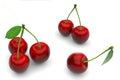 Delicious looking red cherries on white background Royalty Free Stock Photo