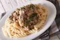 Delicious lunch: beef stroganoff with pasta close-up on a plate