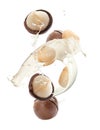 Delicious macadamia milk and nuts on white background