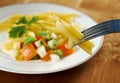 Delicious macaroni pasta Royalty Free Stock Photo