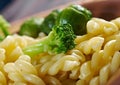 Delicious macaroni pasta Royalty Free Stock Photo