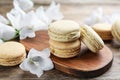 Delicious macarons and white bellflowers on table
