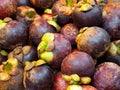 Delicious Mangosteen Fruit at the Local Market