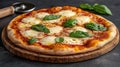 Delicious margherita pizza with fresh basil Royalty Free Stock Photo