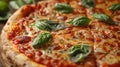 delicious margherita pizza, a margherita pizza consists of melted cheese, red tomato sauce, green basil leaves, a Royalty Free Stock Photo