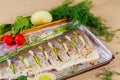 Delicious marinated fish with lemon and onion dish in the oven Royalty Free Stock Photo