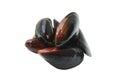 Delicious marine molluscs mussel Mytilus trossulus isolated on white background closeup Royalty Free Stock Photo
