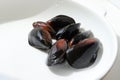 Delicious marine molluscs mussel Mytilus trossulus on white background closeup Royalty Free Stock Photo