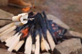 Delicious marshmallow roasting over campfire, closeup. Space for text Royalty Free Stock Photo