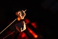 Delicious marshmallows roasting over bonfire outdoors at night, closeup. Space for text Royalty Free Stock Photo