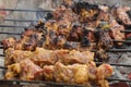 Delicious meat cook and roost outside Royalty Free Stock Photo