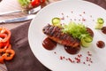 Delicious meat loaf with ketchup on a white plate, macro horizontal Royalty Free Stock Photo