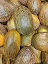 Delicious melons of various sizes inside a box, very fresh Royalty Free Stock Photo