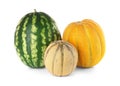 Delicious melons and watermelon Royalty Free Stock Photo