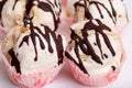 Delicious meringue cakes with chocolate. Royalty Free Stock Photo