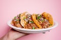 Delicious Mexican birria tacos with coriander and onion on top in a white plate held by one hand Royalty Free Stock Photo