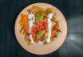 Delicious mexican food on a plate Royalty Free Stock Photo