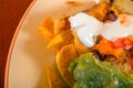 Delicious mexican food on a plate Royalty Free Stock Photo