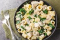 Delicious mezze maniche pasta with chicken, champignon mushrooms, garlic and spinach in creamy cheese sauce close-up in a plate. Royalty Free Stock Photo