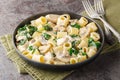 Delicious mezze maniche pasta with chicken, champignon mushrooms, garlic and spinach in creamy cheese sauce close-up in a plate. Royalty Free Stock Photo