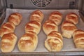 Delicious milk bread buns baking in an oven. Handmade in the traditional style and in a natural way Royalty Free Stock Photo