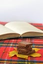 Delicious milk dark chocolate on maple leaf shallow depth of field