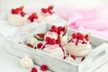 Delicious mini Pavlova meringue cake decorated with fresh raspberry, figs and berry sauce Royalty Free Stock Photo