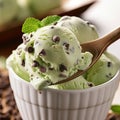 Delicious Mint Chocolate Chip Ice Cream Scoop with Tempting Texture
