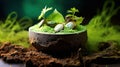 Delicious Mint Chocolate Ice Cream Selective Focus Background