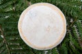 Delicious mountain french cheese reblochon, Savoie product