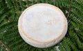 Delicious mountain french cheese reblochon, Savoie product