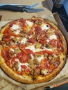 Delicious, mouth watering pizza