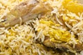 delicious mouthwatering Biryani Royalty Free Stock Photo