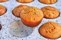 Delicious muffins in the pan for baking.Homemade bakery