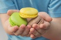 delicious multi-colored cookies in the hands of a child. Macaron. Close-up, horizontal photo. a delicious treat in the