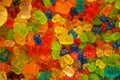 Delicious multi-colored fruit marmalade. unhealthy bright candies in bulk. different jelly photo close. tasty sweets in the candy