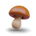 Delicious mushroom for aromatic dishes. Forest ingredient for gourmet cuisine