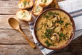 Delicious mushroom soup with dill and toast close-up. horizontal Royalty Free Stock Photo