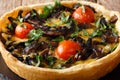 Delicious mushroom tart with cheese, greens and tomatoes close-up. horizontal Royalty Free Stock Photo