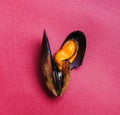 Delicious mussel