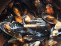 delicious mussels in sauce taste smell taste crustaceans shell Royalty Free Stock Photo